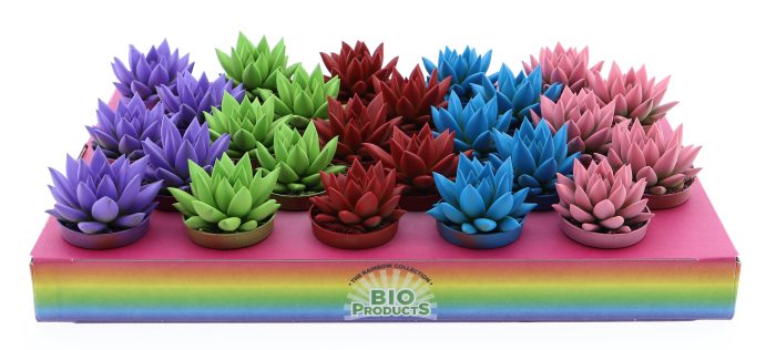 Rainbow mix, D 5,5