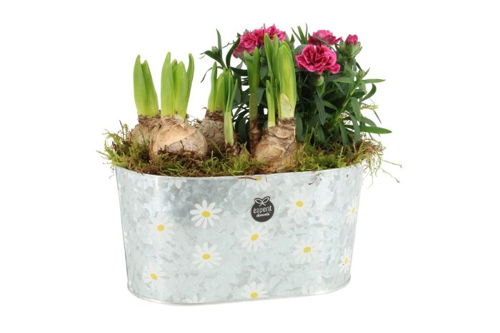 11381: Outdoor spring arrangement, D 23
