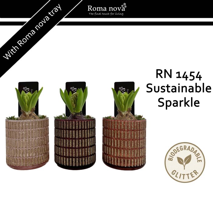 1454 - Sustainable Sparkle (Hyacint), D 8