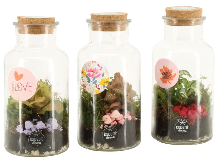21879: Lovess terrarium, D 8