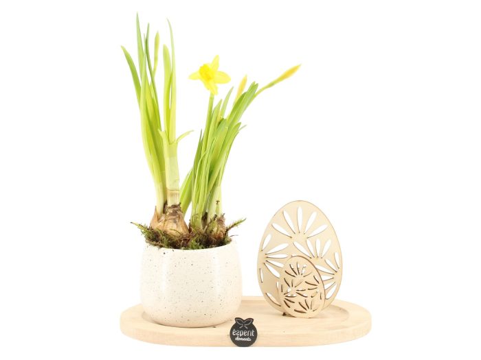 70812: Easter arrangement, D 19