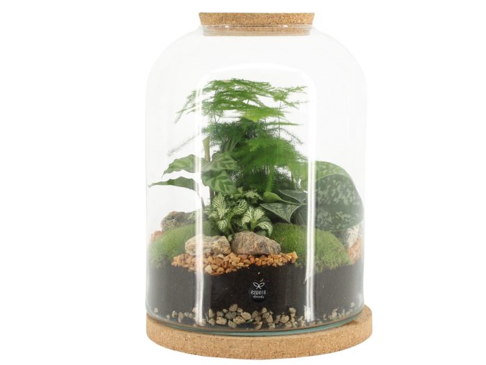 90552: Terrarium arrangement, D 24