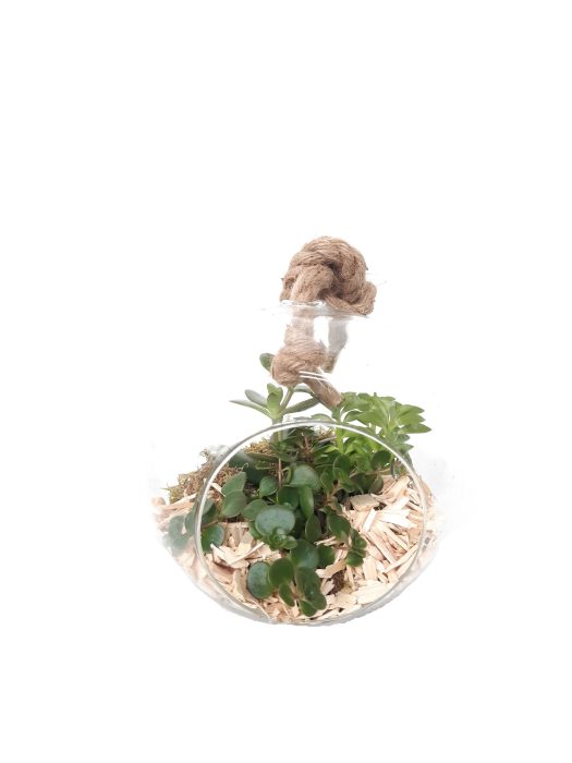 911NAT Bolglas + hangtouw mini groenmix, D 20