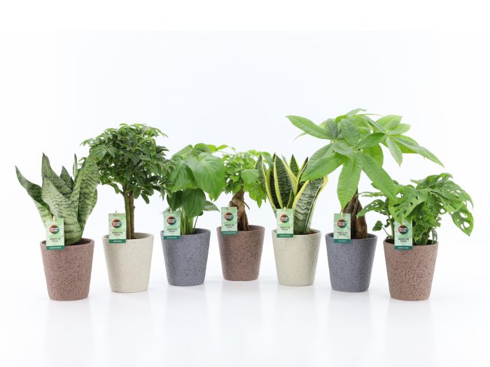 Easy to Care Mix in Nature Keramiek, D 13
