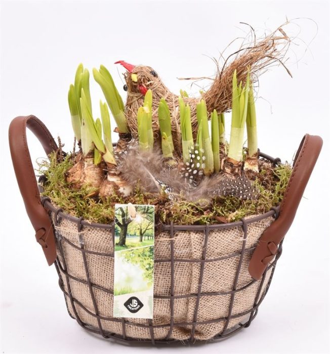 Gaasmand met jute 21x15.5cm, D 21