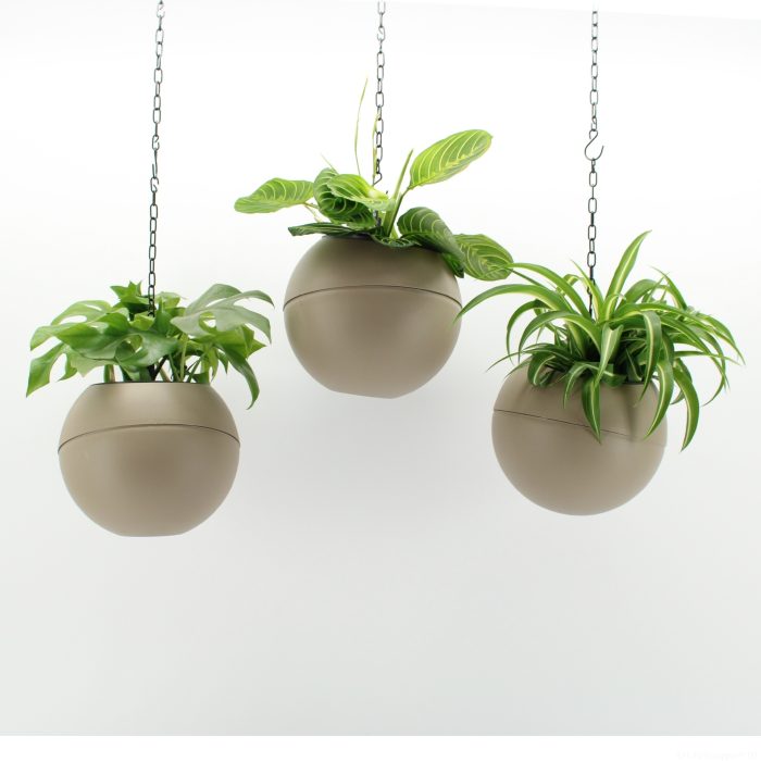 Globee Indoor Green mix 2 125, D 20