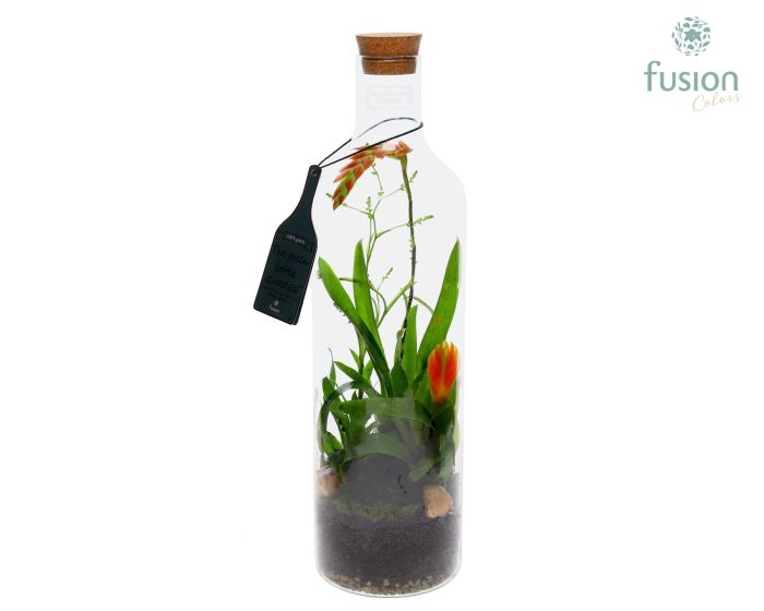 Green Bottle Fles Large met Bromelia, D 15