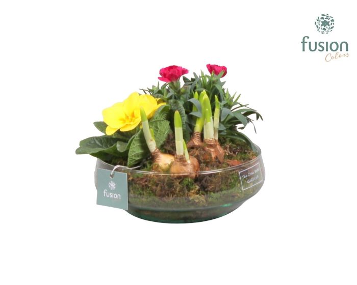 Green Bottle Iris Medium Voorjaar met Arrangement, D 19