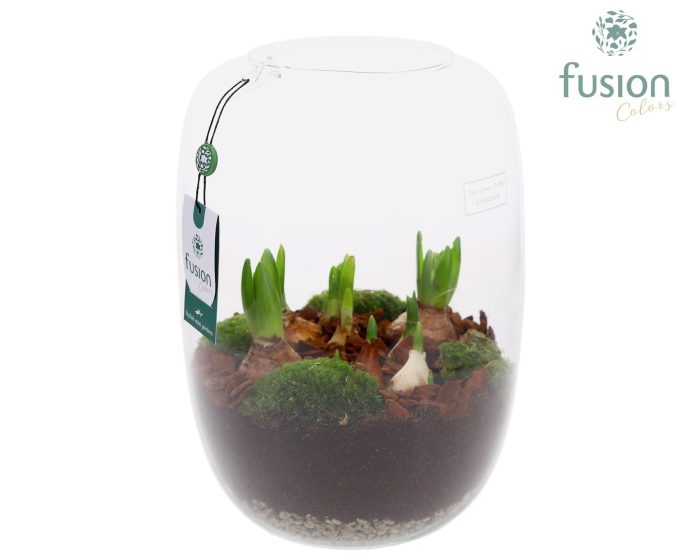 Green Bottle Isabella XLarge met Bollen mix, D 23