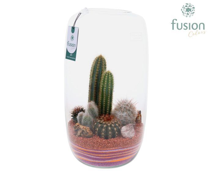 Green Bottle Isabella XXLarge met zand arrangement, D 23