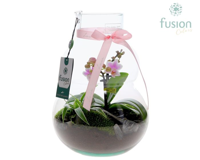 Green Bottle Olaf Medium met Moederdag arrangement, D 21
