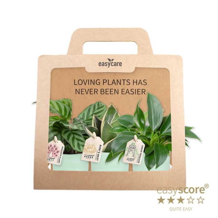 GREEN MIX 40690126 WB Green 3-pack, D 7