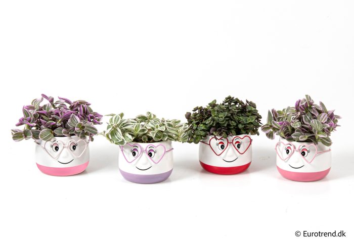Green mix in Valentine ceramic 2026, D 6