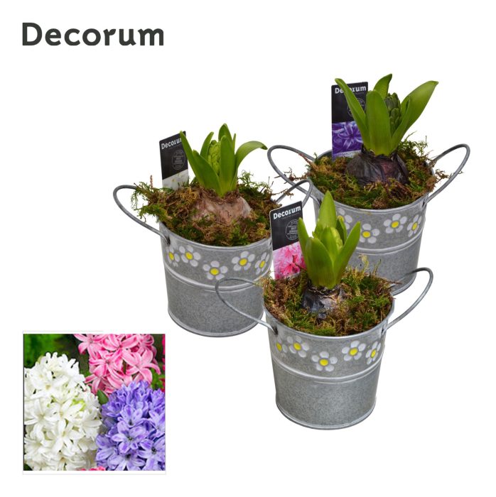 Hyacint Spring Bucket Mini HL15473 [PURE], D 10