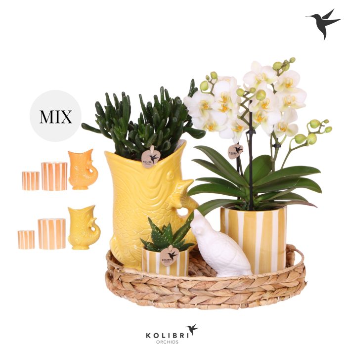Kolibri Gift Set Mediterranean Sunset yellow orange mix, D 30