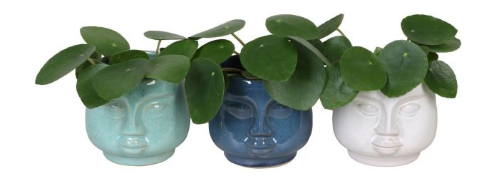 L 65896 with Pilea Pep. 6 cm, D 6