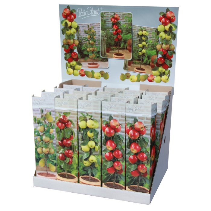 Mini Fruit mix, D 9