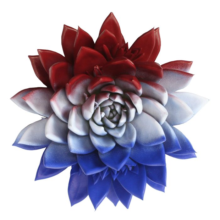 Miranda coloured flag Netherlands, D 10,5