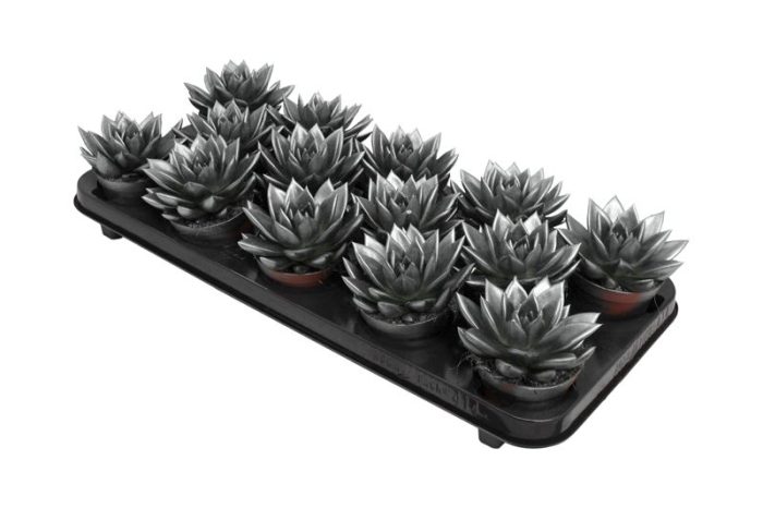 Miranda coloured metallic grey, D 8,5