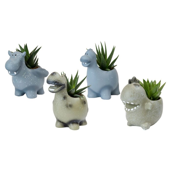 Monstrosities with Succulent mix, D 6