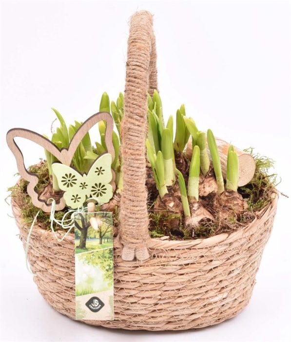 Natuur hengselmand 22x19cm, D 22