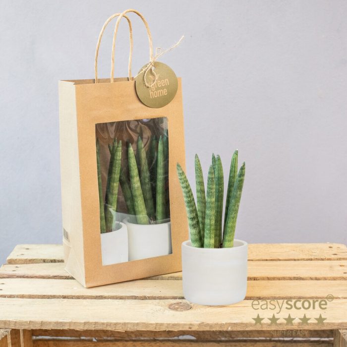 Paperbag Creations 6 cm, D 7