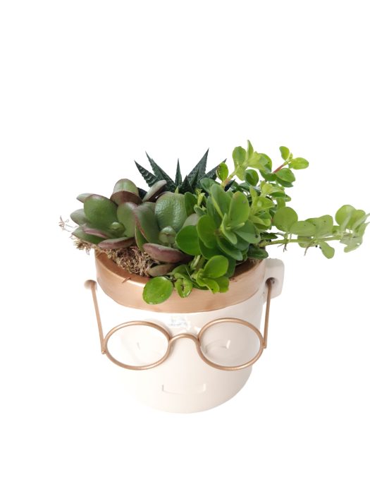 PG10GMX Gold pot/Glasses 10cm mini Groenmix KERST, D 11