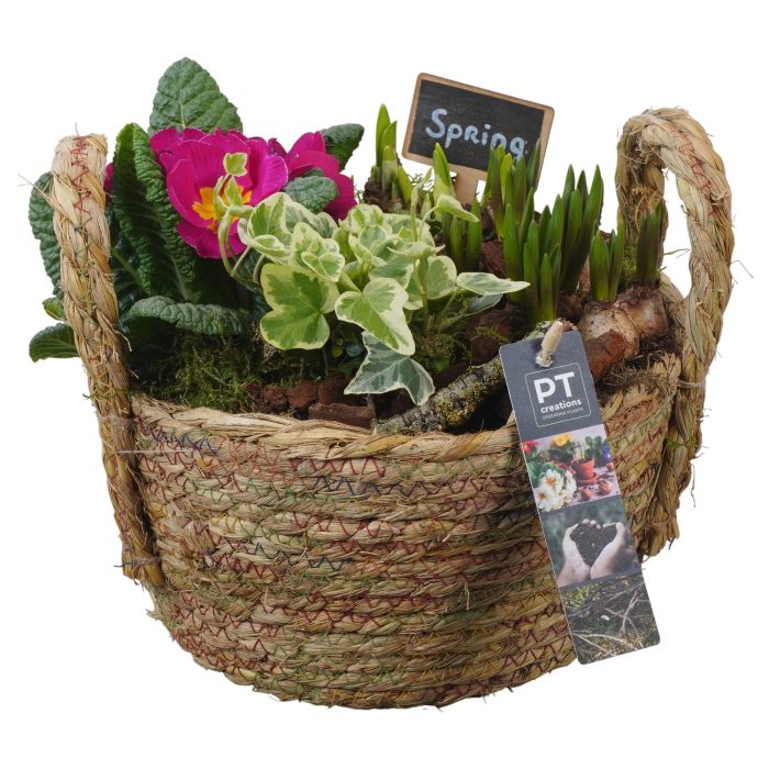 PTBM3810 Arrangement Flower Bulbs Mix in rieten mand, D 22