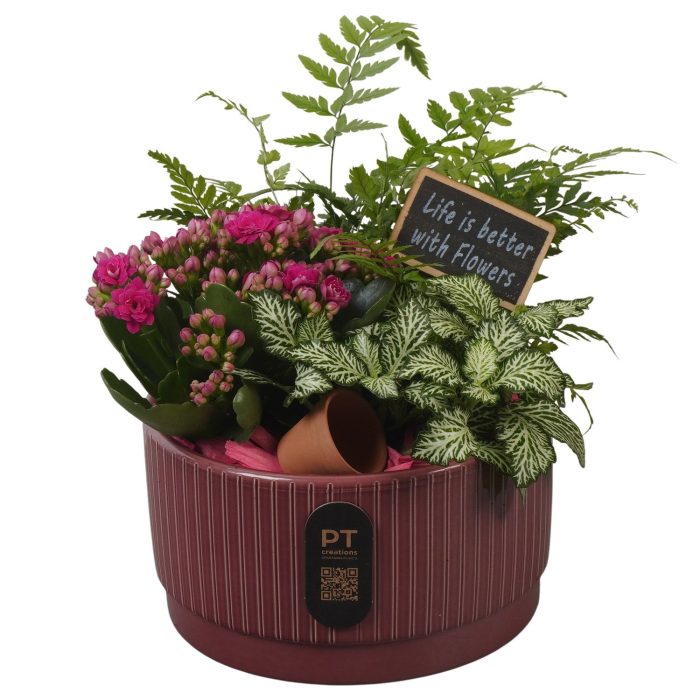 PTIB5108 Arrangement Indoor in keramiek schaal, D 16