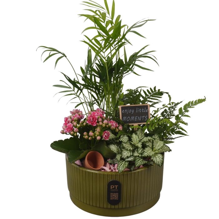 PTIB5125 Arrangement Indoor in keramiek schaal, D 19