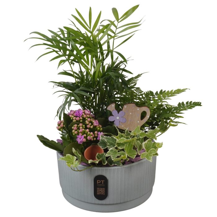 PTIB5129 Arrangement Indoor in keramiek schaal, D 19