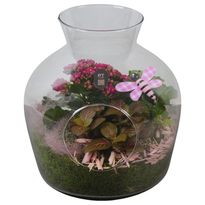 PTIG2638 Arrangement Indoor in glazen vaas, D 24