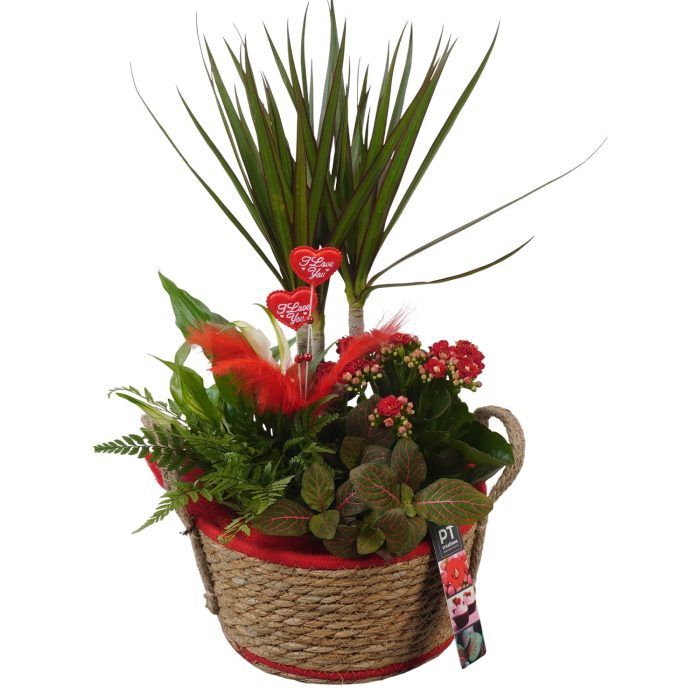 PTVMB2325 Arrangement Valentines-Mothersday in riet mand, D 22