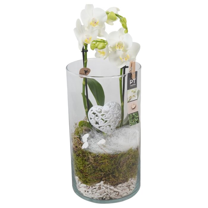 PTVMG4931 Arrangement Valentines-Mothersday in glas vaas, D 16