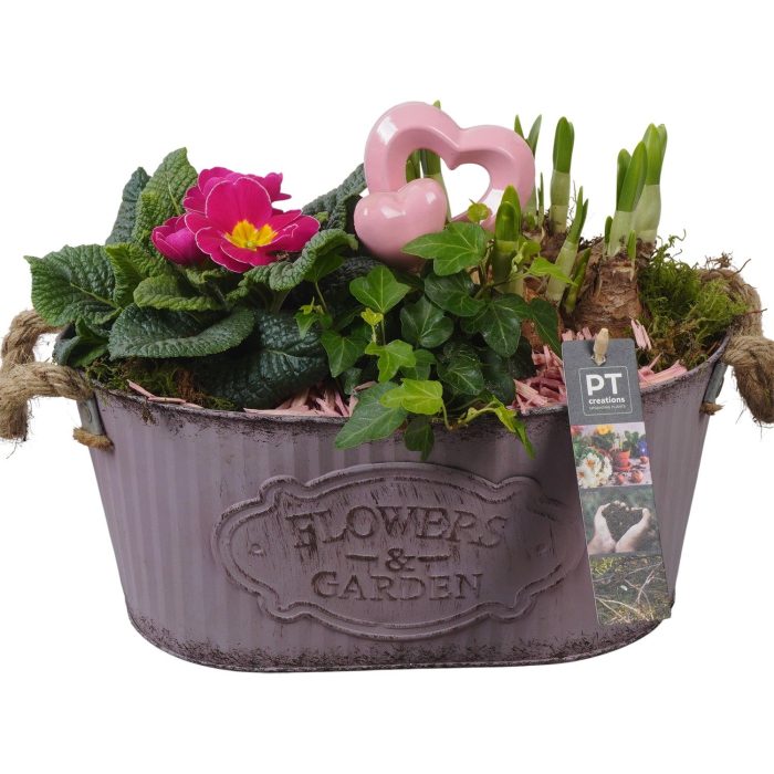 PTVO3609 Arrangement Valentine Outdoor in metalen schaal, D 28