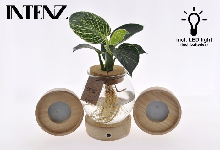 White Wave in Bolglas + Klikkurk + LED - levertijd: 24 uur, D 12