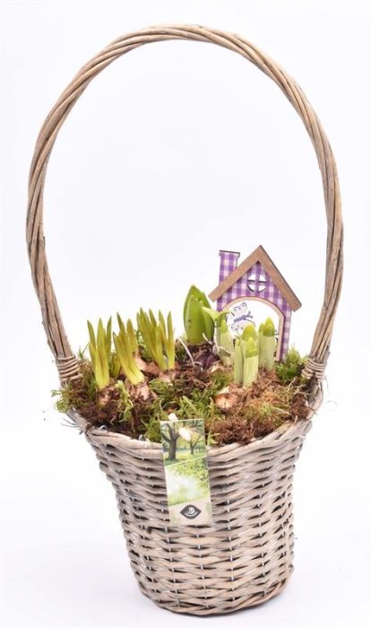 Wilg hengslemand 19cm, D 24