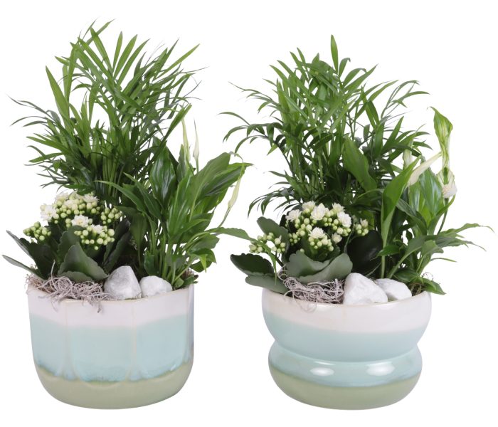 Yearround Arr. Indoor Ceramic Fresh Breeze FB675 Ø17cm 3PP, D 17