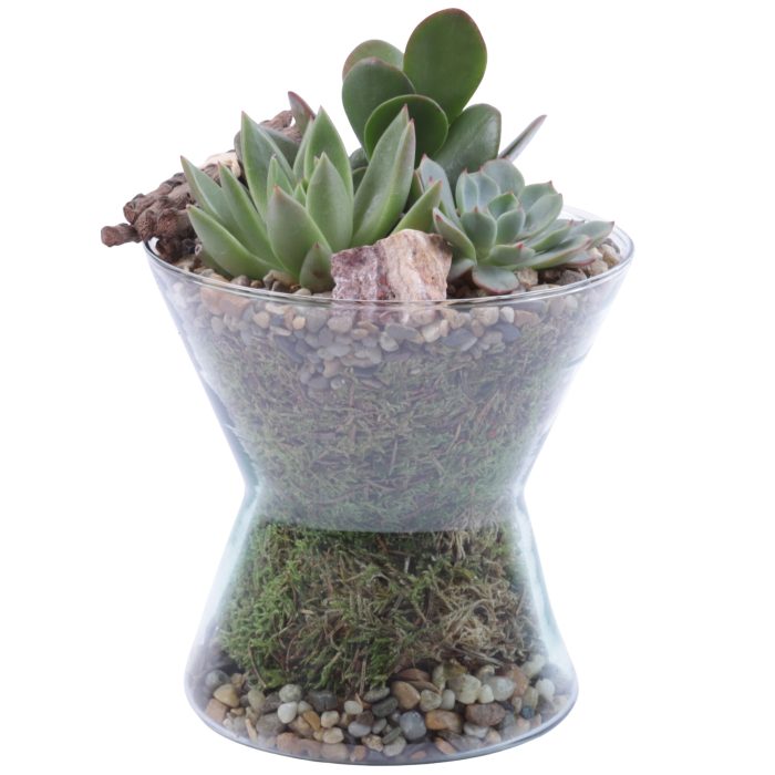 Yearround Arr. Succulent Glass Hourglass Ø16cm 3PP, D 16