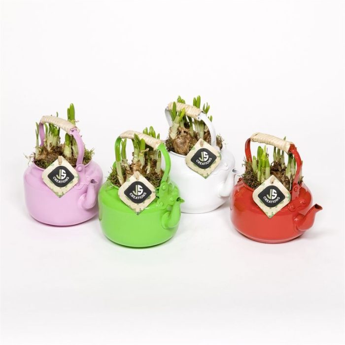 Zink thee pot in 4 kleuren mix, D 12