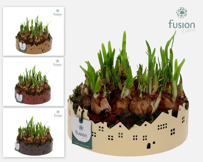 Zinken schaal Huisjes Large met Narcis, D 22