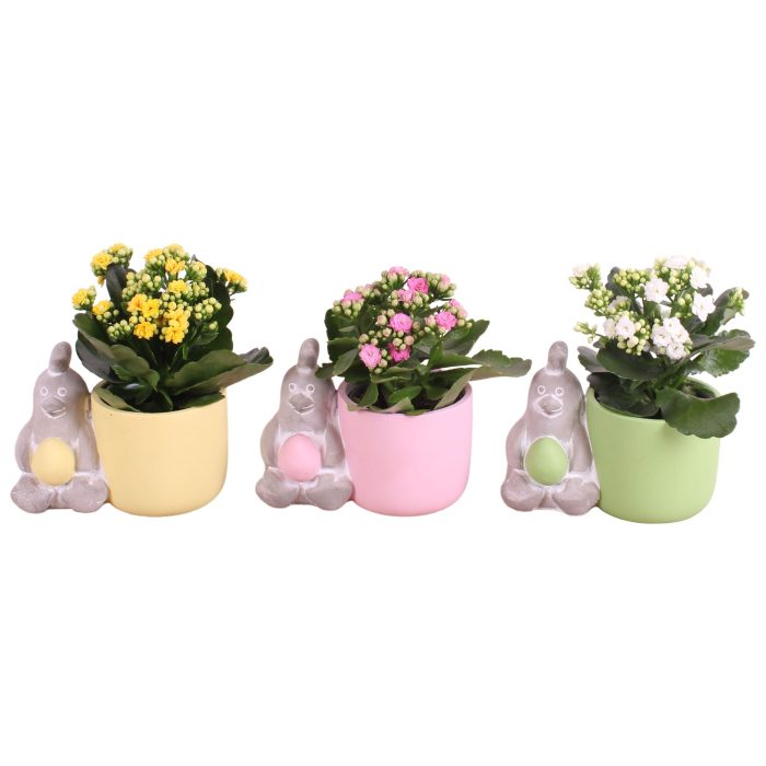 Easter Arr. Indoor Ceramic Pot Chicken Egg Ø17cm 1PP, D 17