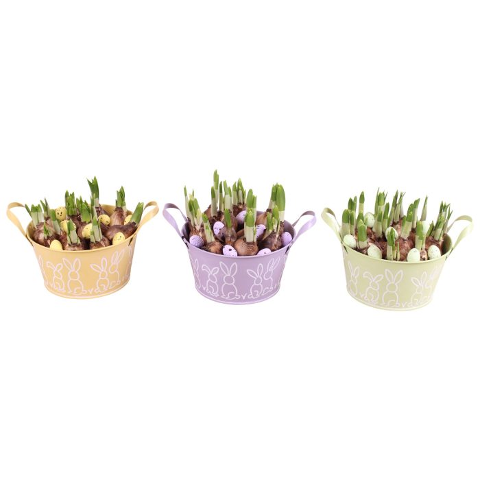 Easter Arr. Narcis Zinc Pot Round Bunny Relief Ø17cm, D 17