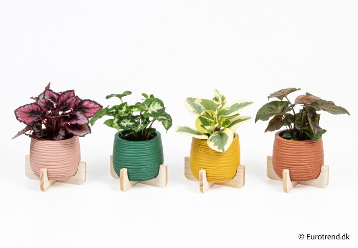 Green mix in New Look ceramic 2026, D 6