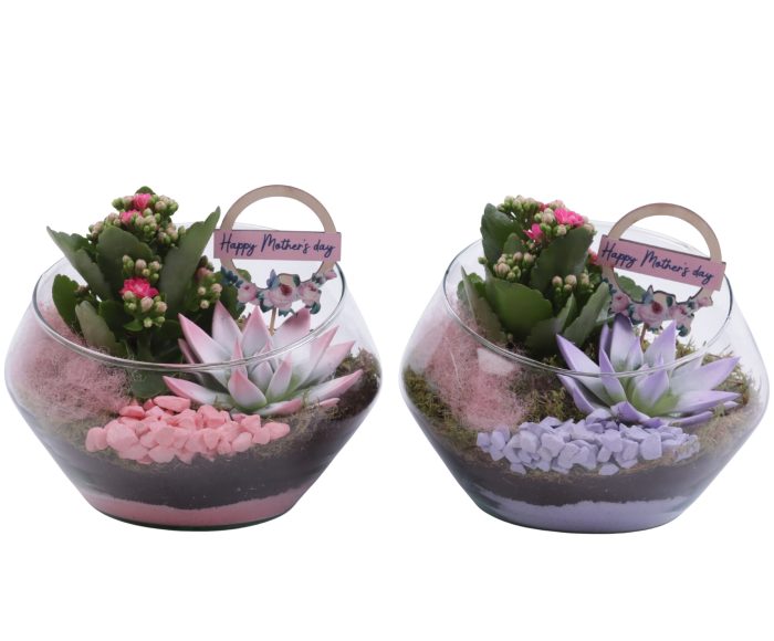 Mothersday Arr. Indoor Glass Oblique UFO Vase Ø20cm 2PP, D 20