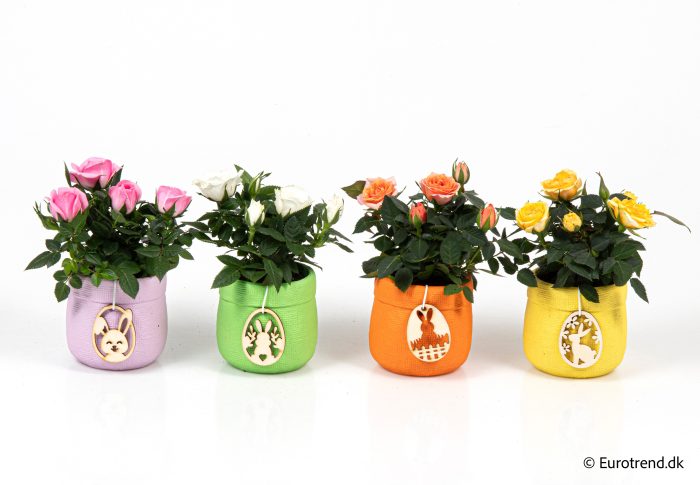 Roses in Easter ceramic 2026, D 6