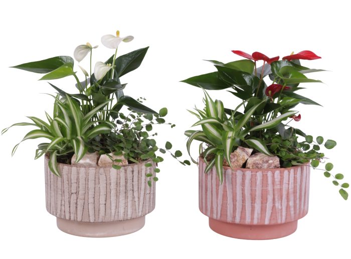 Yearround Arr. Indoor Ceramic Natural Touch NT667 Ø17cm 3PP, D 17