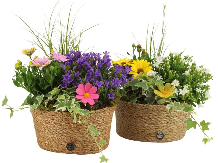31705: Outdoor summer arrangement, D 22