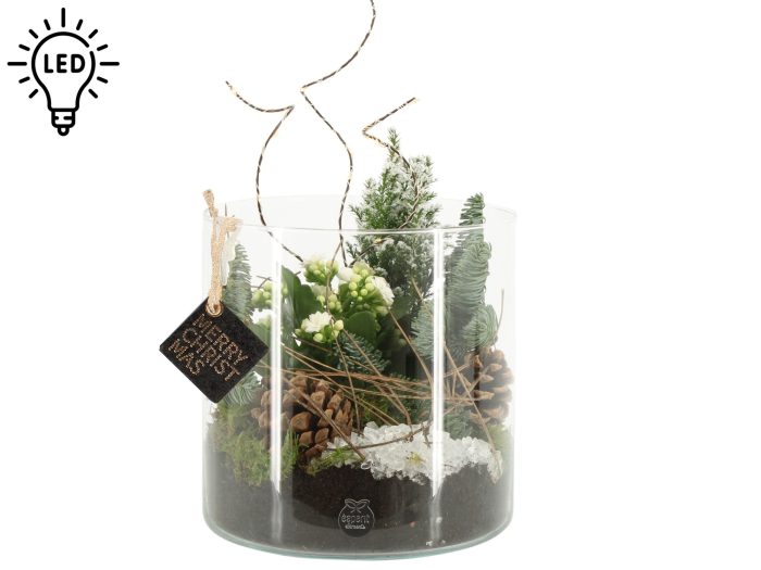61714: X-mas arrangement met LED, D 19