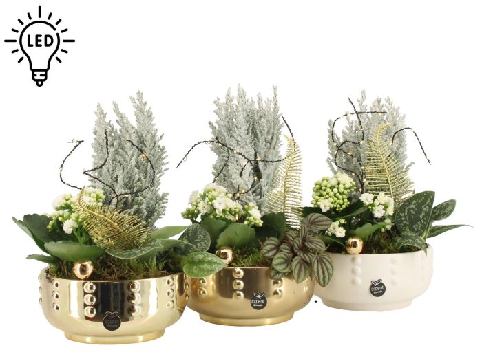 61878: X-mas arrangement met LED, D 17